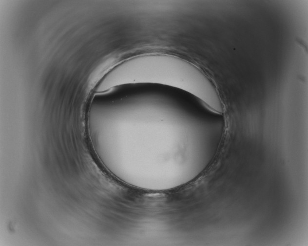 X0000103470053200809261914