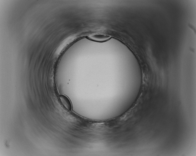 X0000103470054200809261914