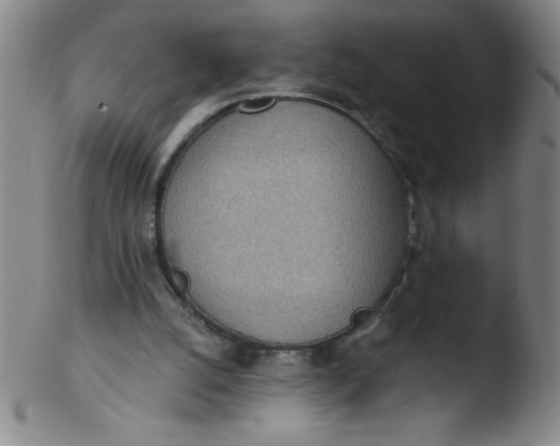 X0000103470056200809261914