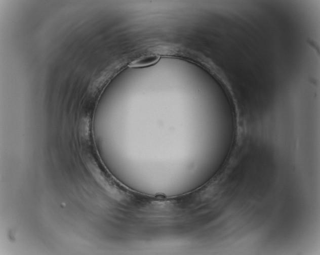 X0000103470057200809261914