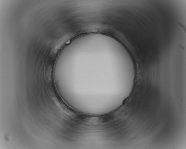 X0000103470058200809261914