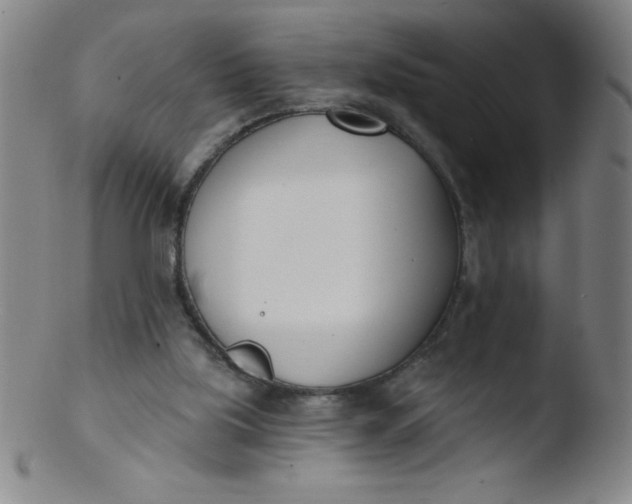 X0000103470059200809261914