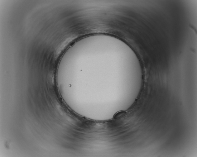 X0000103470060200809261914