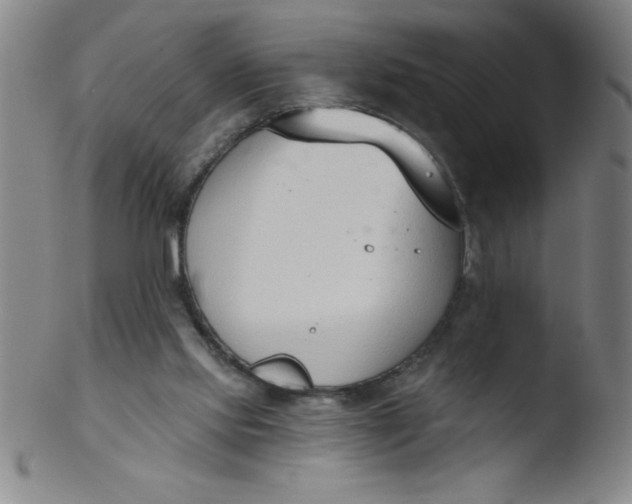 X0000103470061200809261914