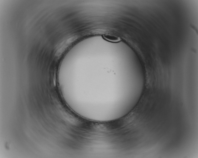 X0000103470062200809261914