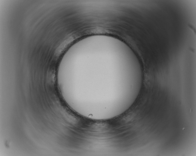 X0000103470063200809261914