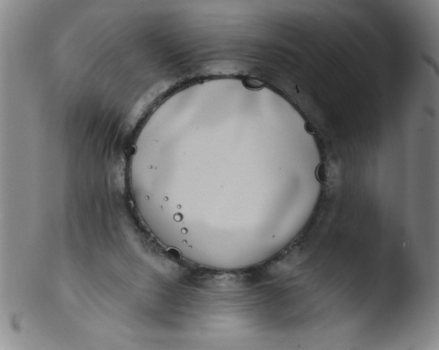 X0000103470064200809261914