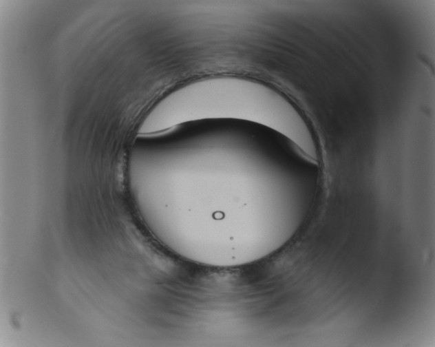 X0000103470065200809261914