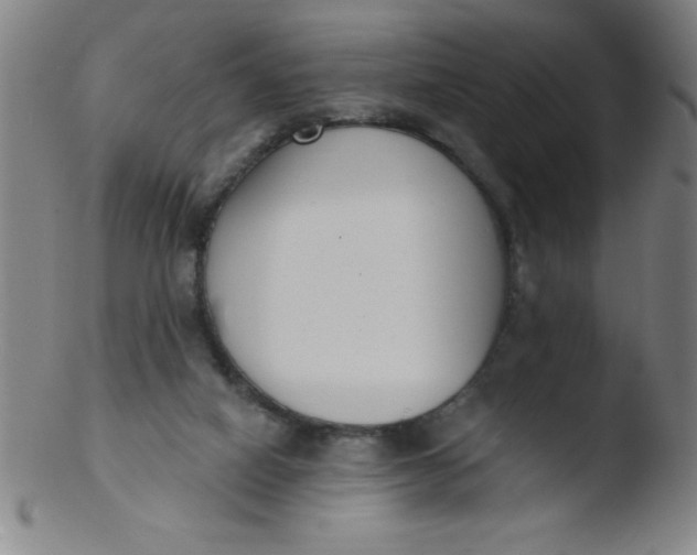 X0000103470066200809261914