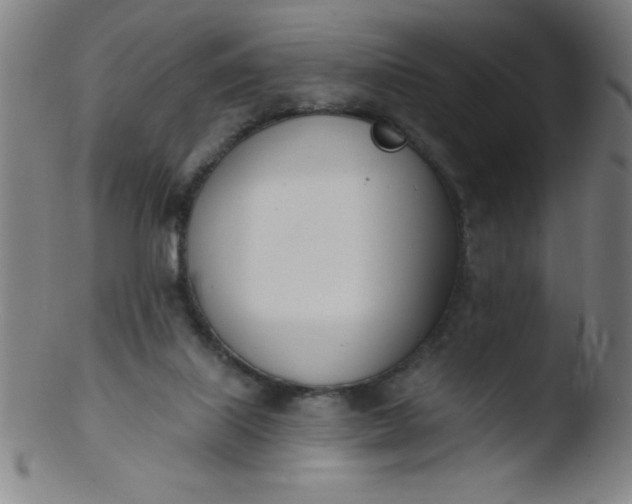 X0000103470067200809261914