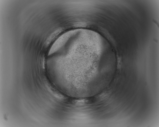 X0000103470068200809261914