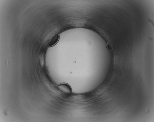 X0000103470069200809261914