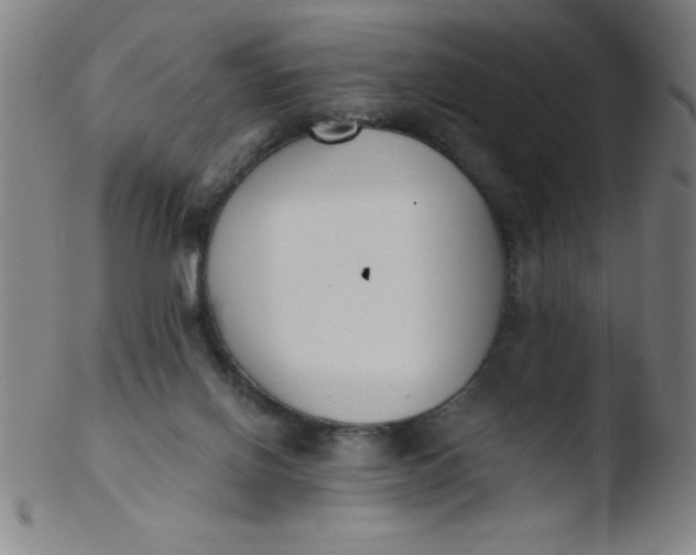 X0000103470070200809261914