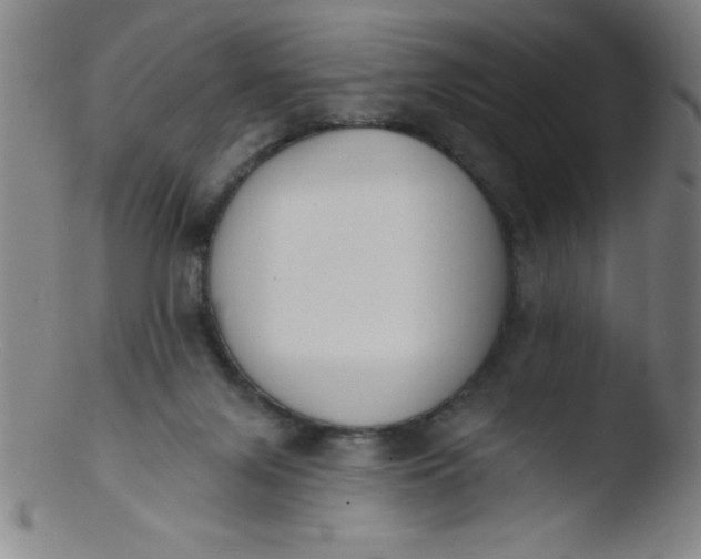 X0000103470071200809261914