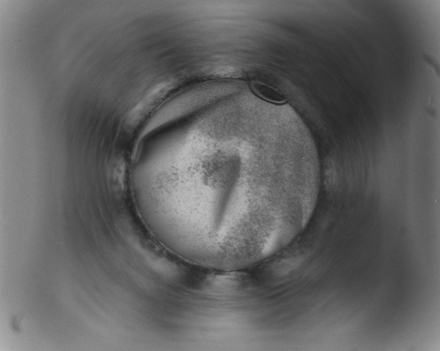 X0000103470072200809261914