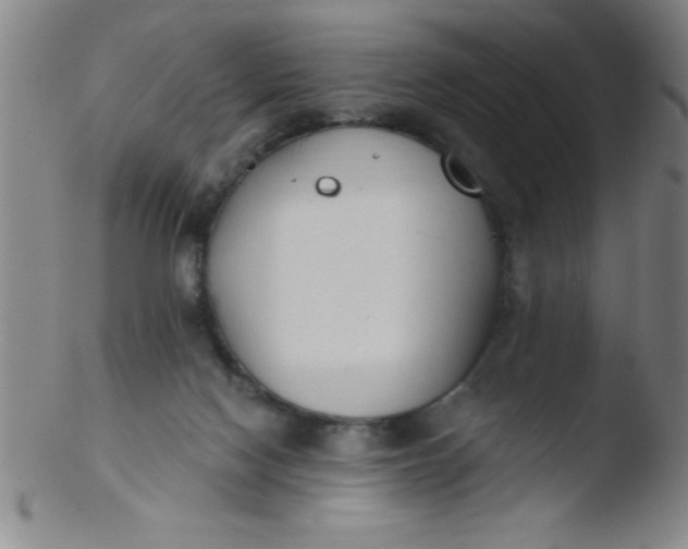 X0000103470074200809261914