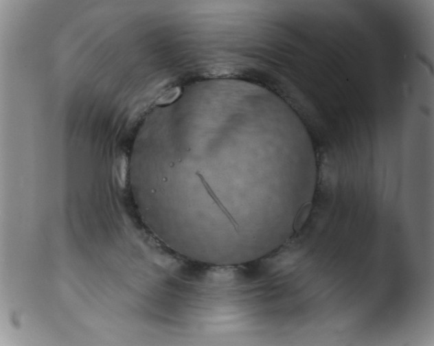 X0000103470076200809261914