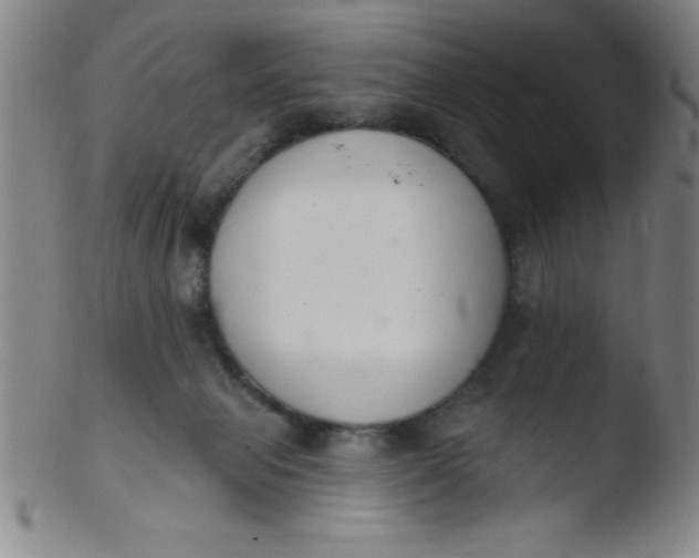 X0000103470077200809261914