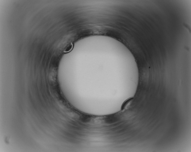 X0000103470078200809261914