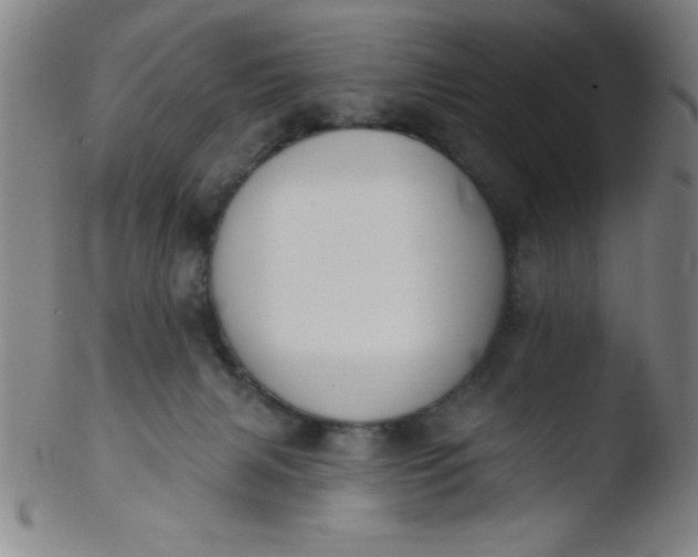 X0000103470079200809261914