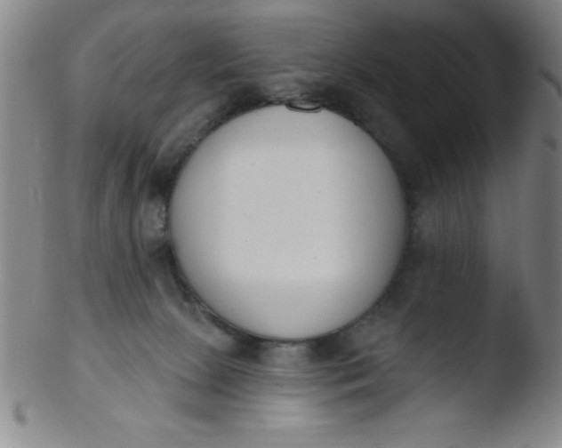 X0000103470081200809261914