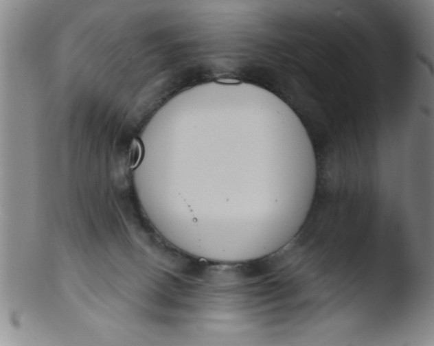 X0000103470082200809261914