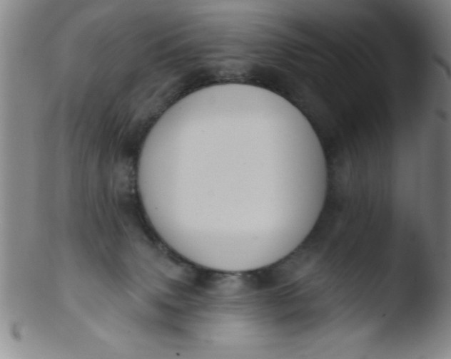 X0000103470083200809261914