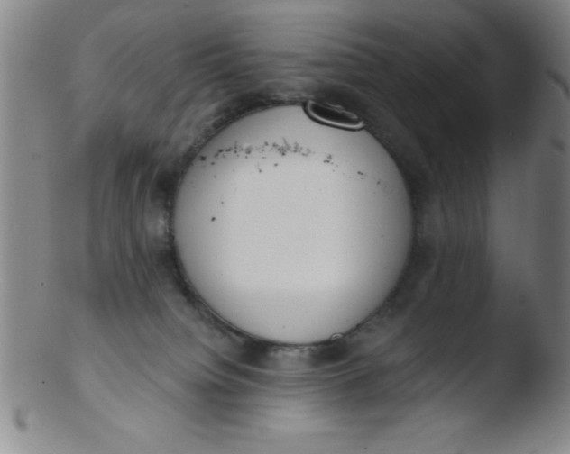 X0000103470084200809261914