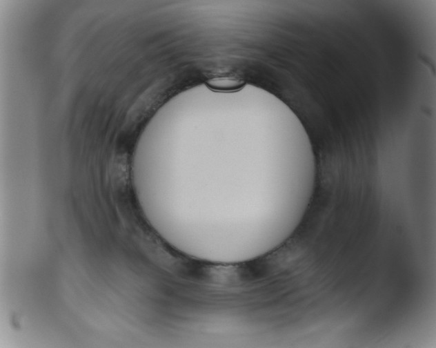 X0000103470085200809261914