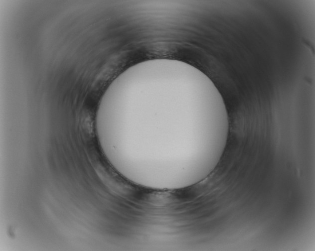 X0000103470086200809261914