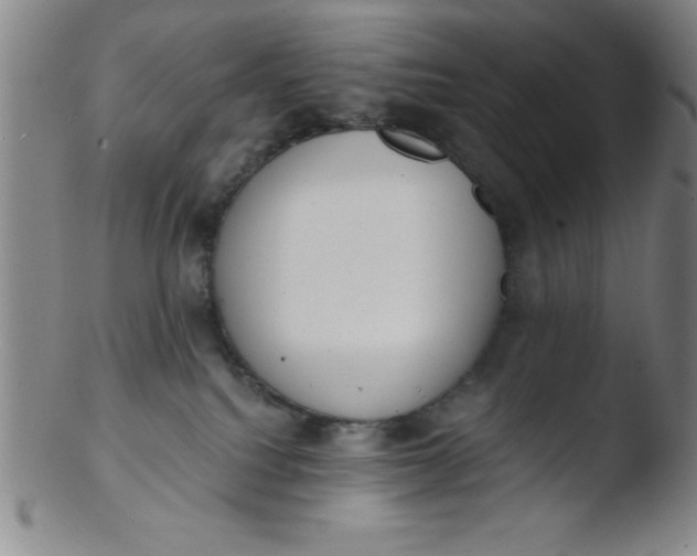 X0000103470088200809261914