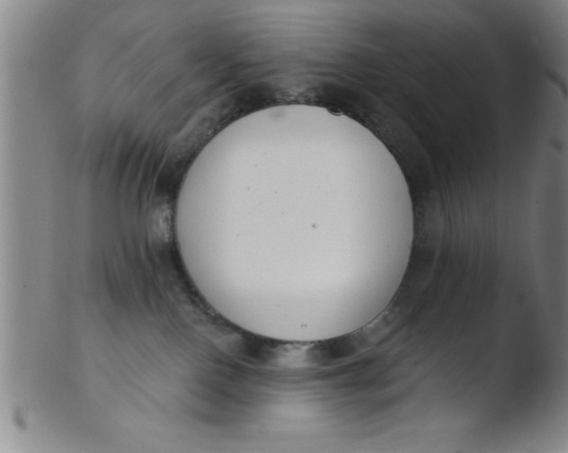 X0000103470090200809261914