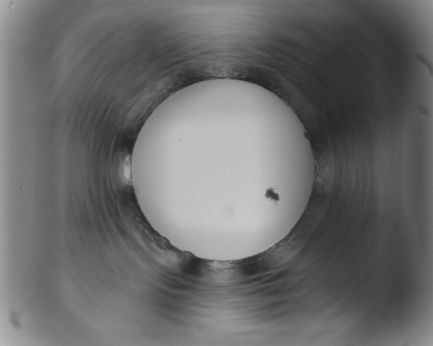 X0000103470095200809261914