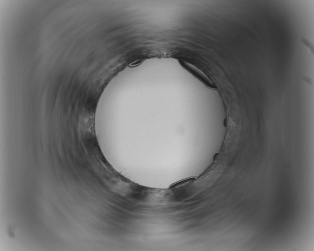 X0000103470096200809261914