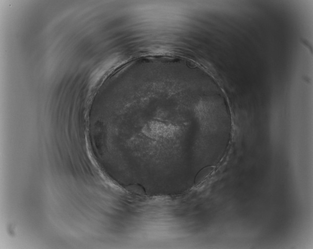 X0000103470097200809261914