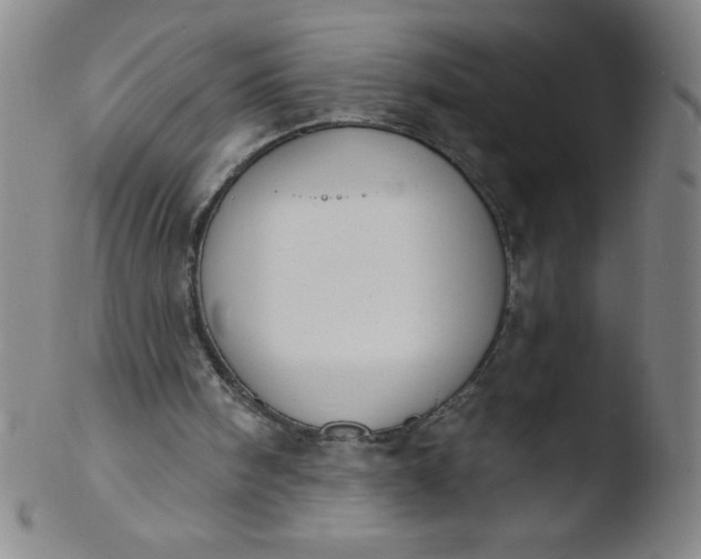 X0000103470098200809261914