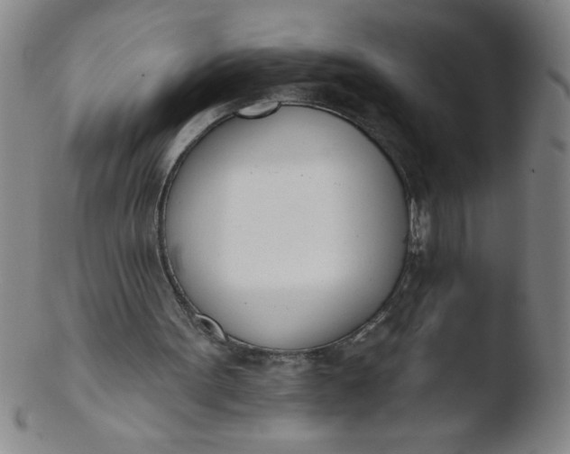 X0000103470099200809261914