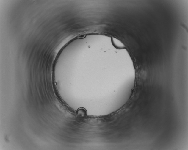 X0000103470100200809261914