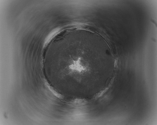 X0000103470101200809261914