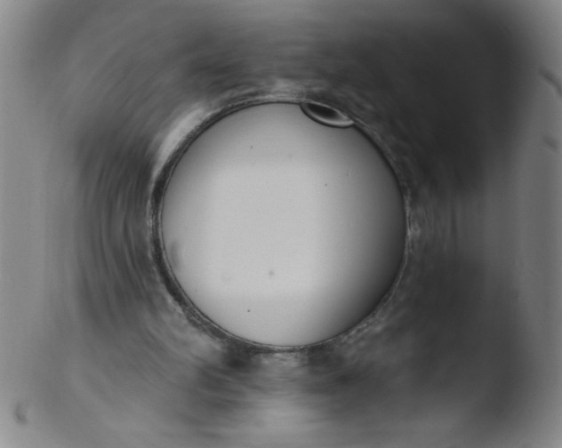 X0000103470102200809261914