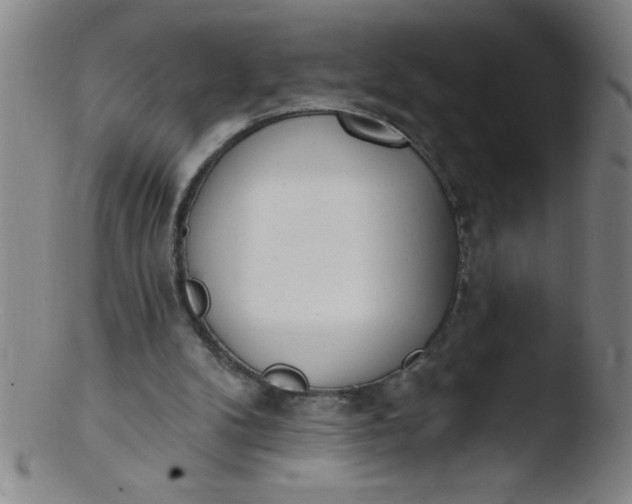 X0000103470104200809261914