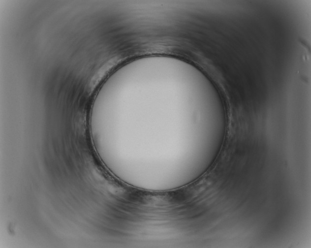 X0000103470107200809261914