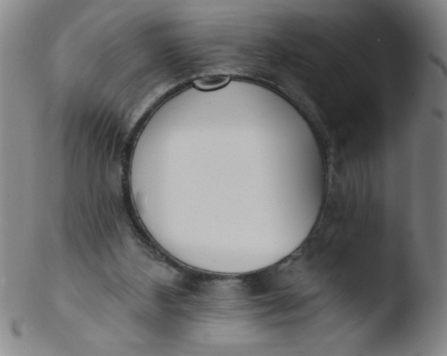 X0000103470108200809261914