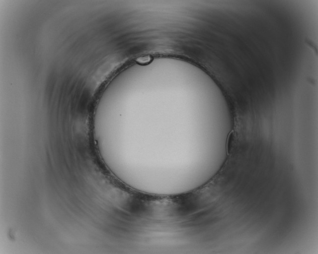 X0000103470112200809261913