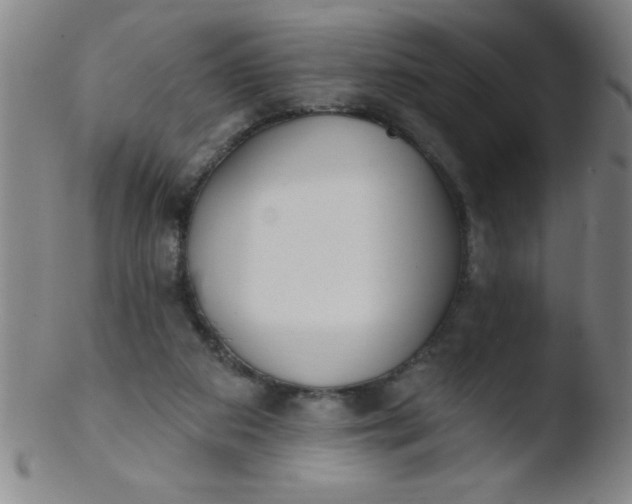 X0000103470113200809261913