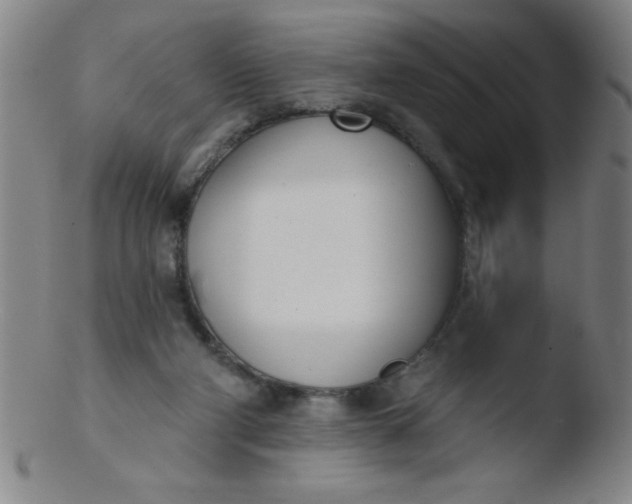 X0000103470114200809261913