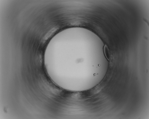 X0000103470116200809261913