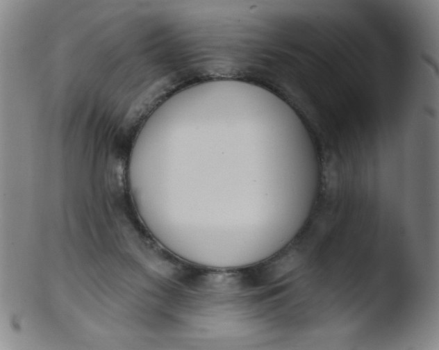 X0000103470117200809261913