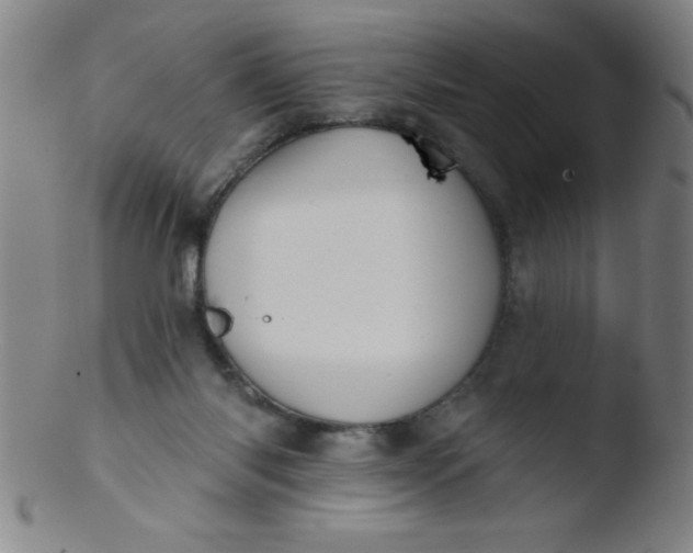 X0000103470118200809261913