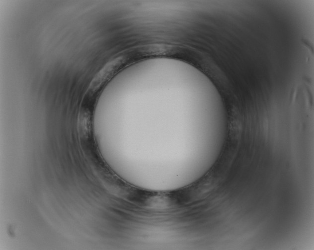 X0000103470119200809261913